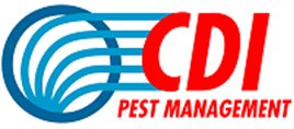 CDI Logo