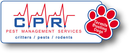 CPR_Logo_shadow_RGB_420pxl