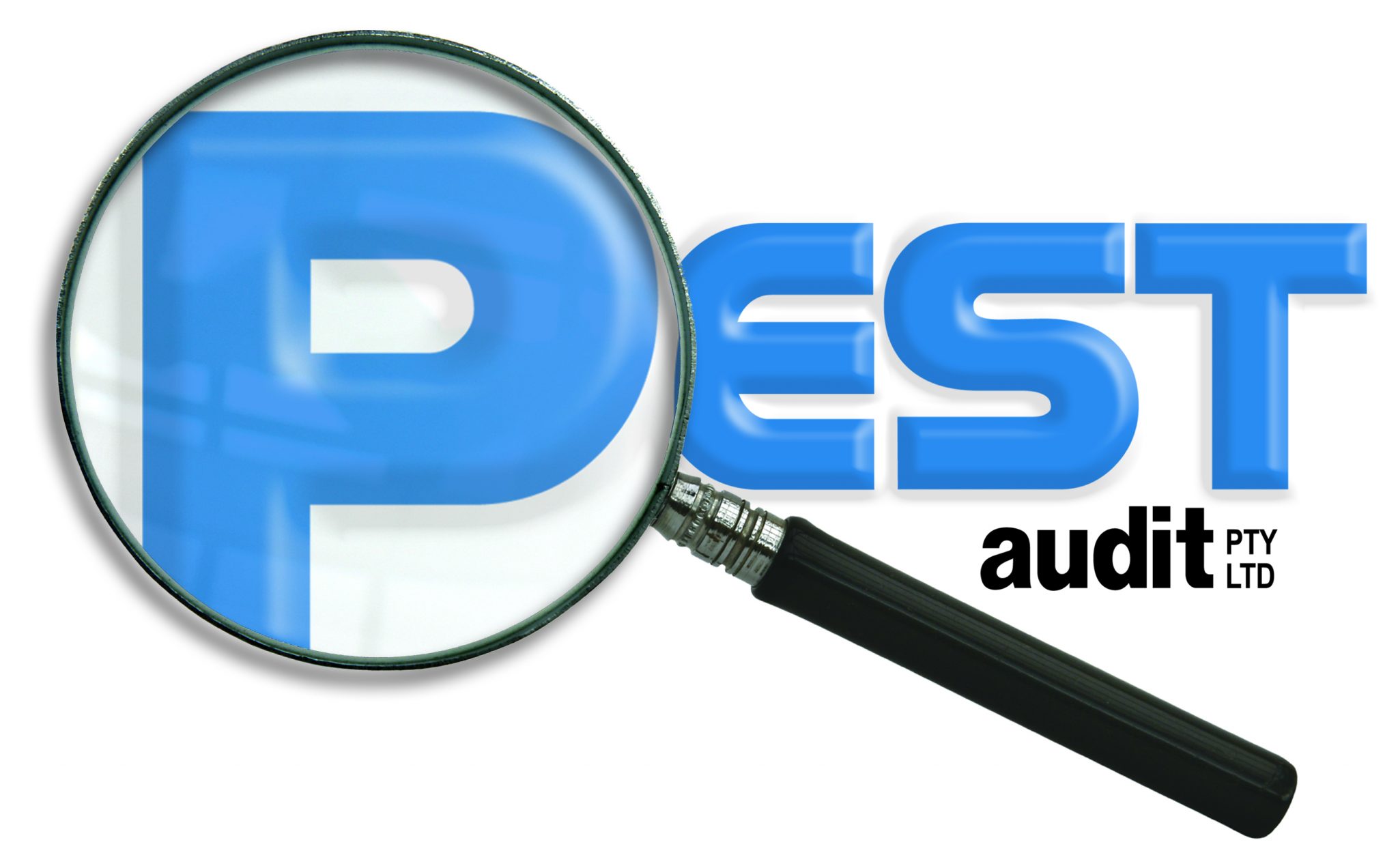 PEST AUDIT logo 09